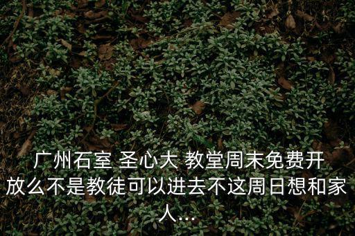  廣州石室 圣心大 教堂周末免費開放么不是教徒可以進去不這周日想和家人...