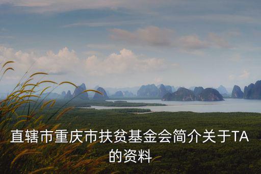 直轄市重慶市扶貧基金會(huì)簡(jiǎn)介關(guān)于TA的資料