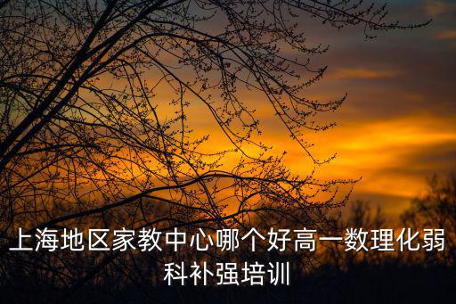上海市精細課程中心，想知道 上海市 上海青聰泉兒童智能訓(xùn)練中心 在哪
