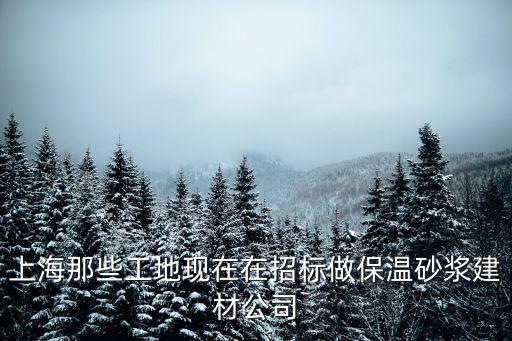 上海那些工地現在在招標做保溫砂漿建材公司