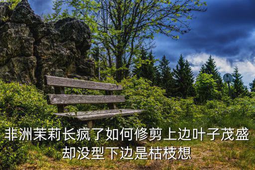非洲茉莉長瘋了如何修剪上邊葉子茂盛卻沒型下邊是枯枝想