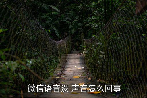  微信語音沒 聲音怎么回事