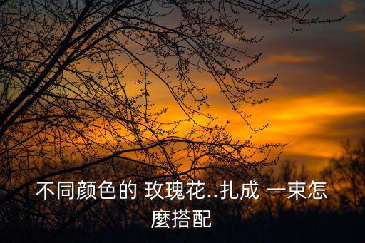 不同顏色的 玫瑰花..扎成 一束怎麼搭配