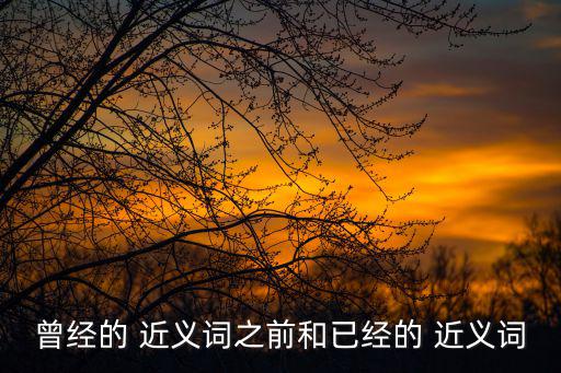 曾經的 近義詞之前和已經的 近義詞