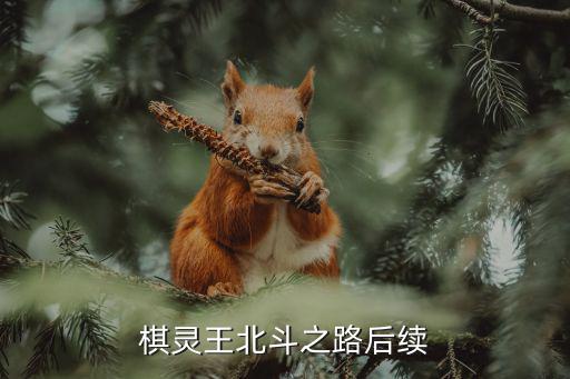 重慶市棋院陳玉萍，棋靈王北斗之路后續(xù)
