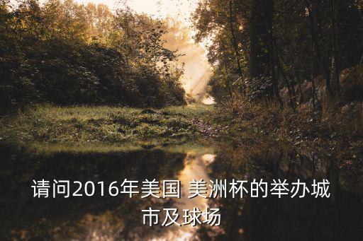 請問2016年美國 美洲杯的舉辦城市及球場
