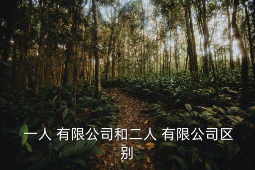 一人有限公司,有限責(zé)任公司與一人有限公司不同之處