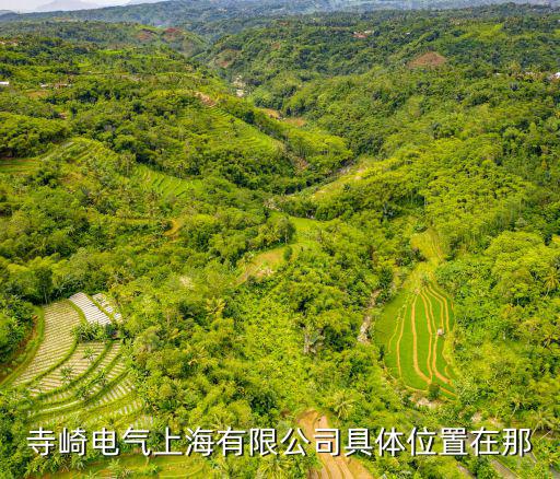 上海市昌平路1306號，上海市太平洋保險(xiǎn)公司具體地址是哪里