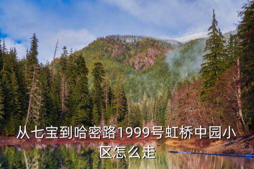 從七寶到哈密路1999號虹橋中園小區怎么走