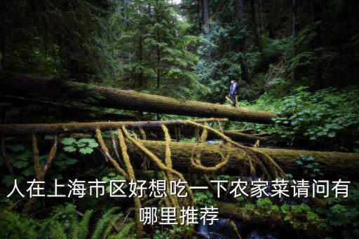 人在上海市區(qū)好想吃一下農(nóng)家菜請問有哪里推薦