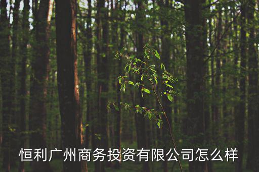 恒利廣州商務投資有限公司怎么樣