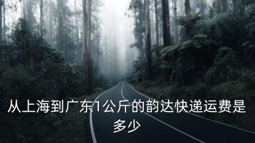 從上海到廣東1公斤的韻達快遞運費是多少