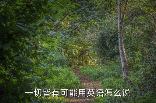 一切皆有可能用英語怎么說
