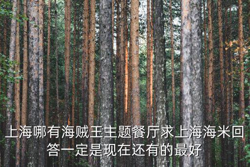 上海哪有海賊王主題餐廳求上海海米回答一定是現在還有的最好