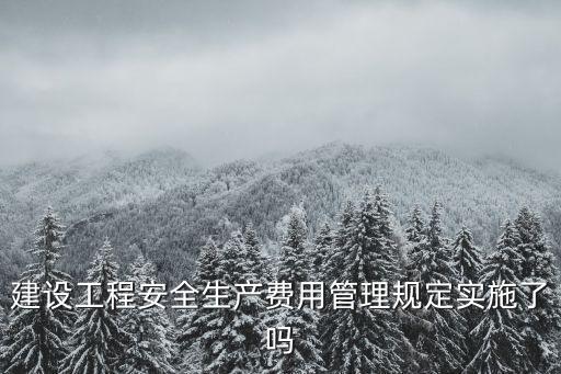 建設(shè)工程安全生產(chǎn)費(fèi)用管理規(guī)定實(shí)施了嗎