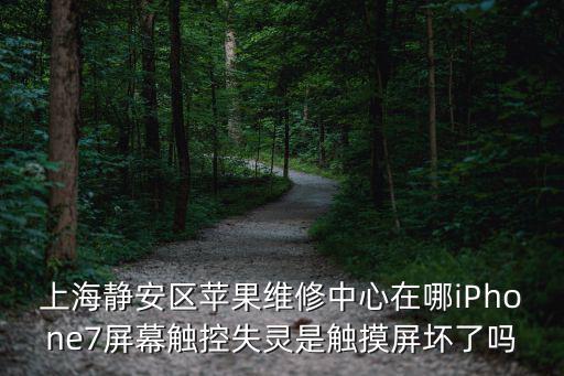 上海靜安區蘋果維修中心在哪iPhone7屏幕觸控失靈是觸摸屏壞了嗎