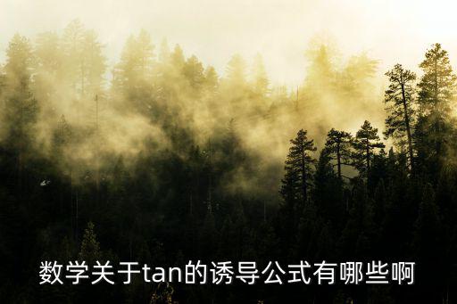 tan誘導公式，數學關于tan的誘導公式有哪些啊