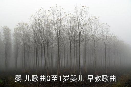 嬰 兒歌曲0至1歲嬰兒 早教歌曲