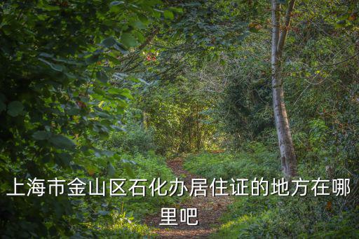 上海市金山區石化辦居住證的地方在哪里吧