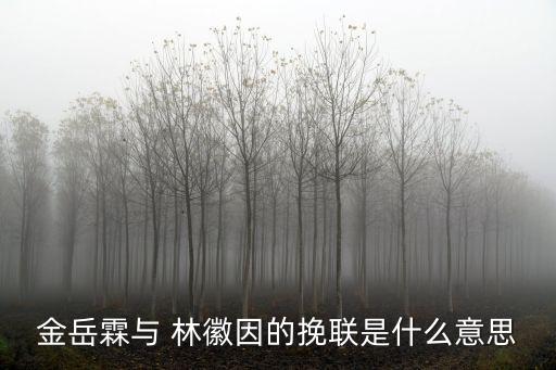 金岳霖與 林徽因的挽聯是什么意思