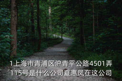 1上海市青浦區滬青平公路4501弄115號是什么公司夏惠鳳在這公司
