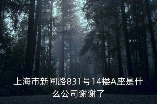 上海市新閘路831號14樓A座是什么公司謝謝了