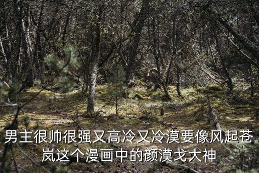 男主很帥很強又高冷又冷漠要像風起蒼嵐這個漫畫中的顏漠戈大神