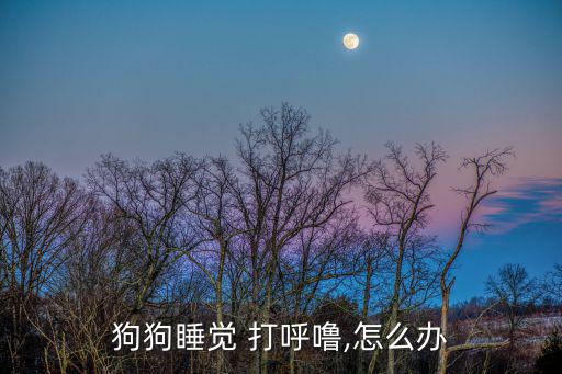 狗狗睡覺(jué) 打呼嚕,怎么辦
