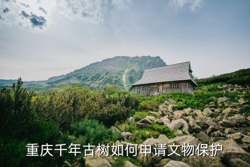 重慶千年古樹如何申請文物保護