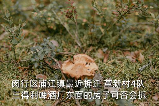 閔行區(qū)浦江鎮(zhèn)最近拆遷 革新村4隊 三得利啤酒廠東面的房子可否會拆