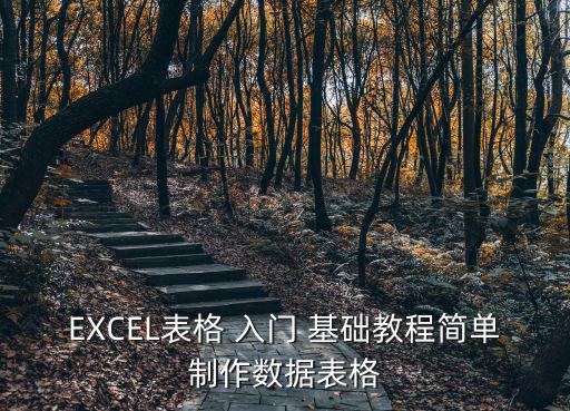 EXCEL表格 入門 基礎(chǔ)教程簡單制作數(shù)據(jù)表格