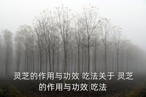  靈芝的作用與功效 吃法關于 靈芝的作用與功效 吃法