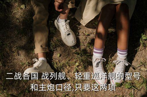 二戰(zhàn)各國(guó) 戰(zhàn)列艦、輕重巡洋艦的型號(hào)和主炮口徑,只要這兩項(xiàng)