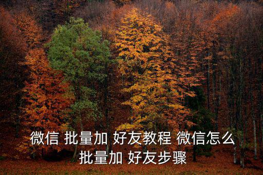 微信批量加好友,微信批量添好友教程