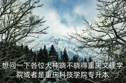 重慶市2021年專升本錄取分數線，重慶市專升本考試 錄取線是按照你這個專業化 還是按照整個參加專升