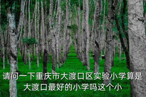 請問一下重慶市大渡口區實驗小學算是大渡口最好的小學嗎這個小