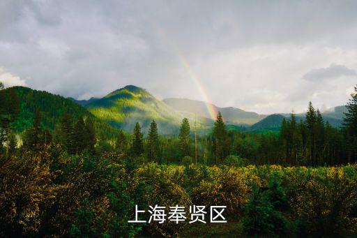 上海奉賢區