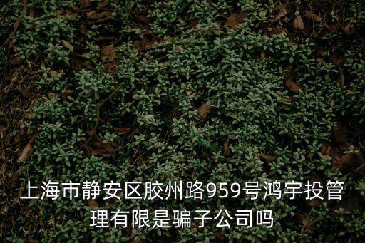上海市靜安區膠州路959號鴻宇投管理有限是騙子公司嗎