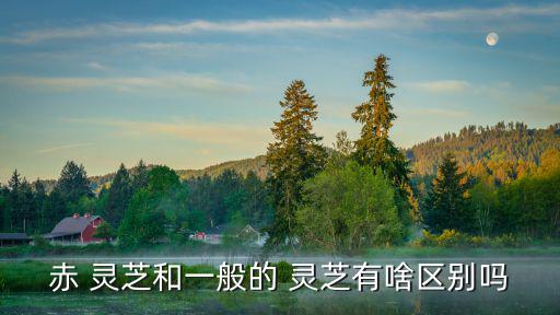 赤 靈芝和一般的 靈芝有啥區別嗎