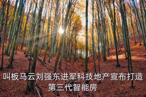 叫板馬云劉強(qiáng)東進(jìn)軍科技地產(chǎn)宣布打造第三代智能房