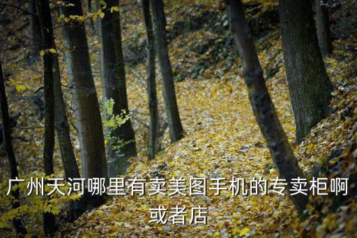 早期廣州網(wǎng)紅，廣州天河哪里有賣美圖手機(jī)的專賣柜啊或者店