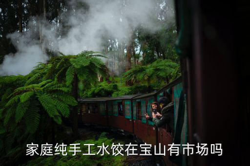 家庭純手工水餃在寶山有市場(chǎng)嗎