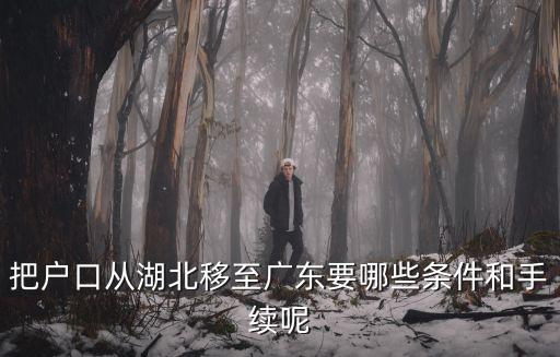 把戶口從湖北移至廣東要哪些條件和手續(xù)呢