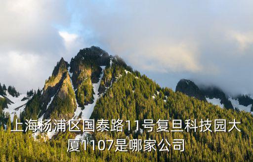上海楊浦區(qū)國(guó)泰路11號(hào)復(fù)旦科技園大廈1107是哪家公司