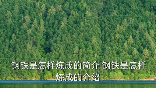  鋼鐵是怎樣煉成的簡介 鋼鐵是怎樣煉成的介紹