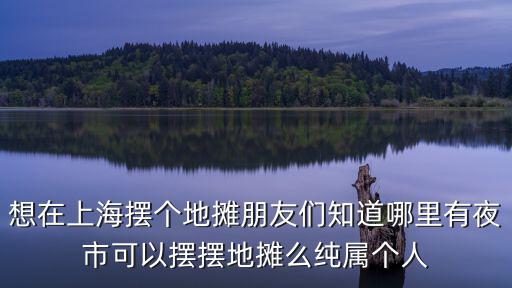 想在上海擺個地?cái)偱笥褌冎滥睦镉幸故锌梢詳[擺地?cái)偯醇儗賯€人