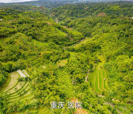 重慶市奉節(jié)健橋總醫(yī)院，重慶的醫(yī)院哪家外科更好求解答