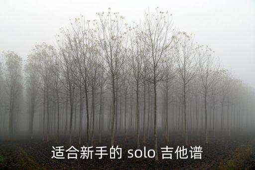 適合新手的 solo 吉他譜