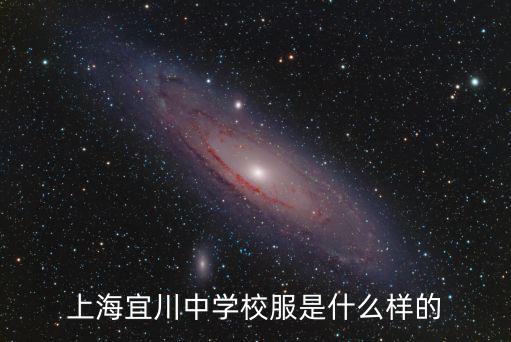 上海宜川中學(xué)校服是什么樣的