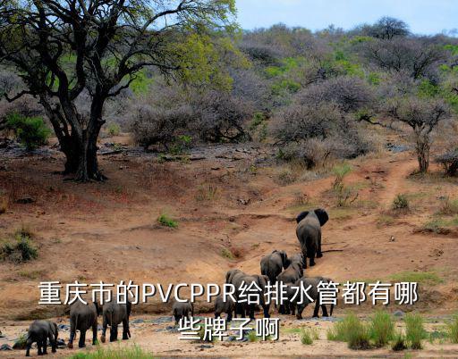 重慶市的PVCPPR給排水管都有哪些牌子啊